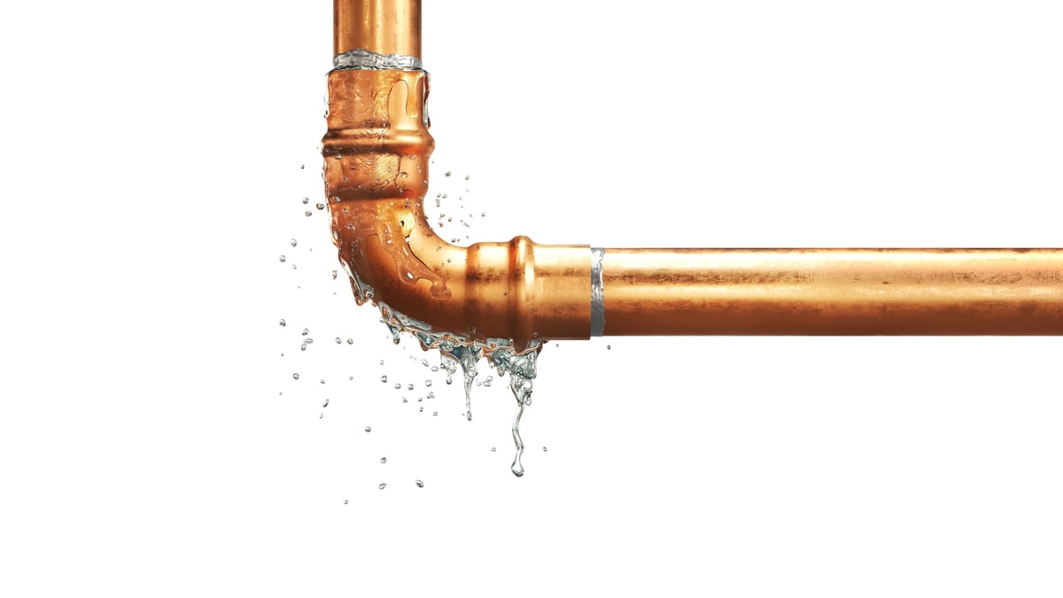 Professional pipe repair and leak fixing